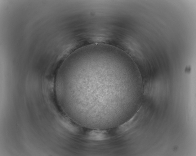 X0000092070179200709191212