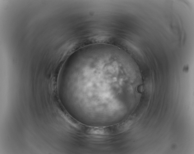 X0000092070181200709191212