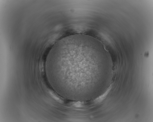 X0000092070182200709191212