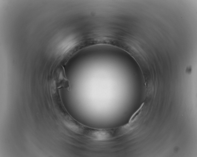 X0000092070183200709191212