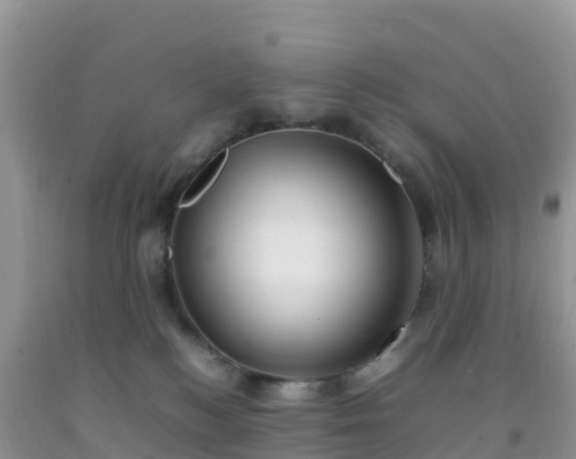 X0000092070184200709191212