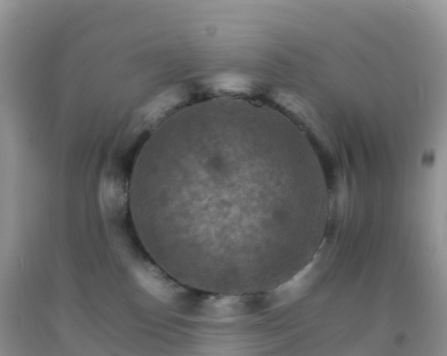 X0000092070186200709191212