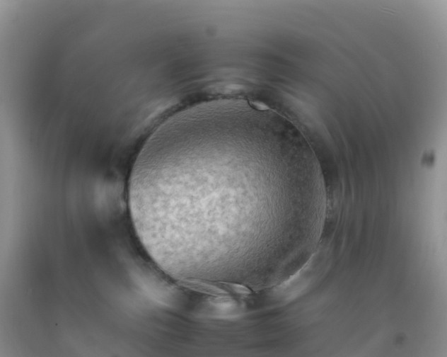 X0000092070187200709191212