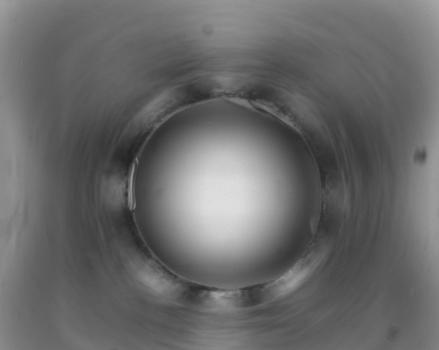 X0000092070188200709191212