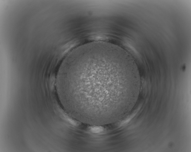 X0000092070189200709191212