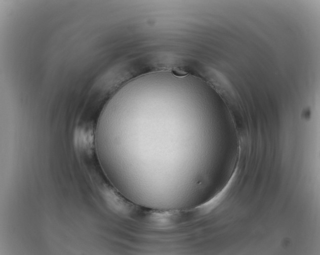 X0000092070190200709191212