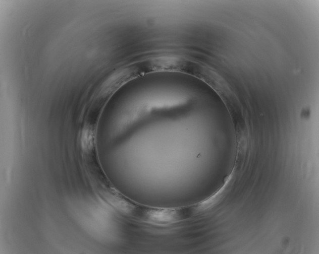 X0000092070191200709191212