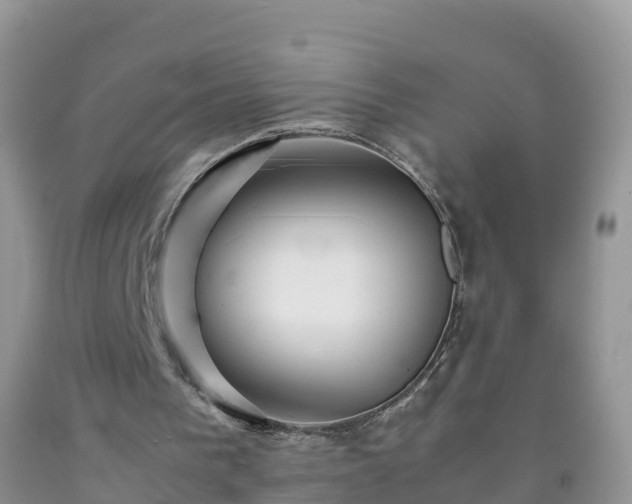 X0000092070193200709191211