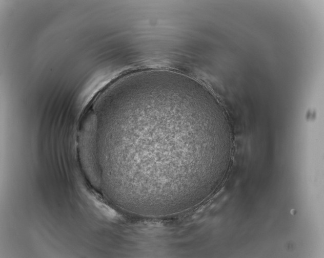 X0000092070194200709191211