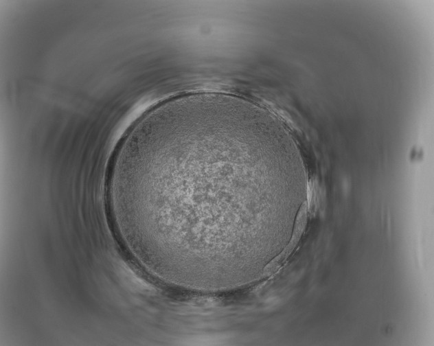 X0000092070195200709191211