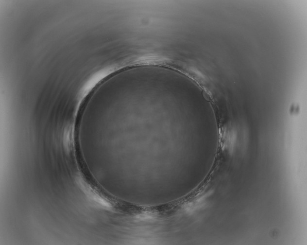 X0000092070196200709191211