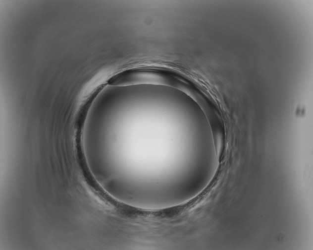 X0000092070197200709191211