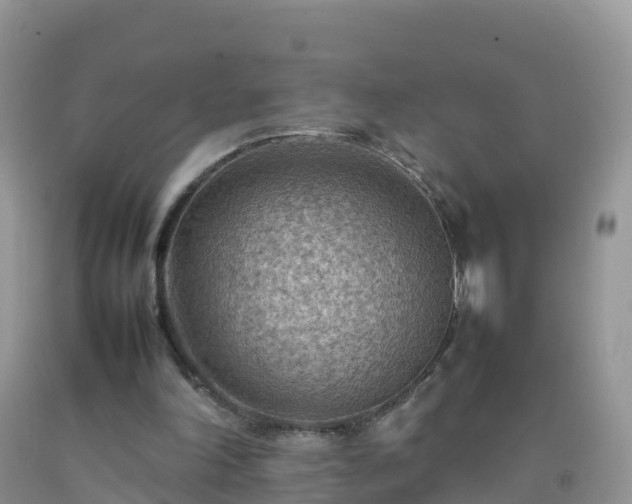 X0000092070198200709191211