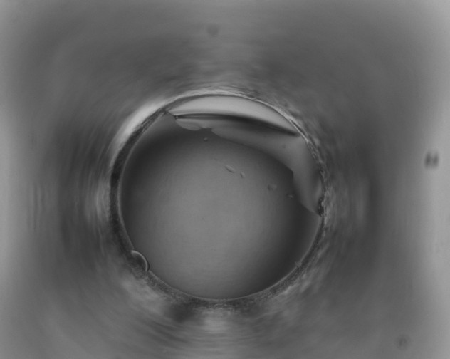 X0000092070200200709191211