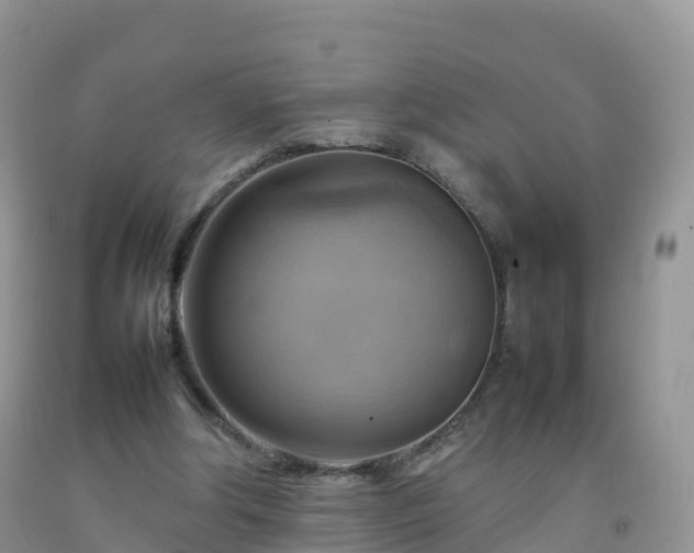 X0000092070202200709191211