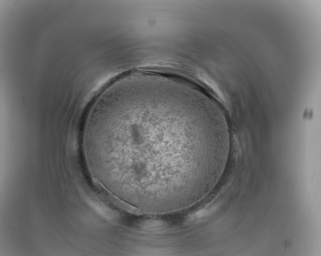 X0000092070203200709191211