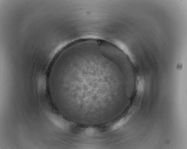 X0000092070204200709191211