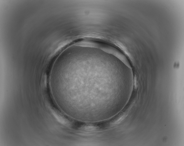 X0000092070205200709191211