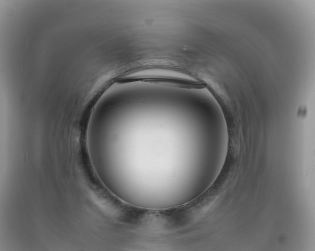 X0000092070207200709191211