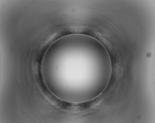 X0000092070209200709191211