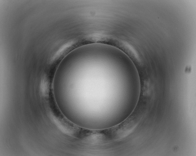 X0000092070210200709191211
