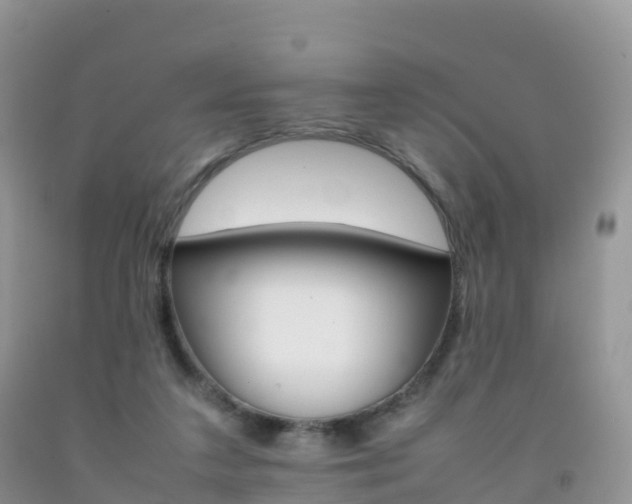 X0000092070211200709191211