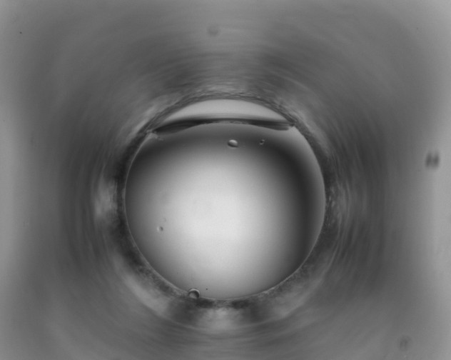 X0000092070212200709191211