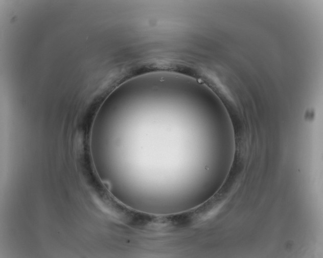 X0000092070213200709191211