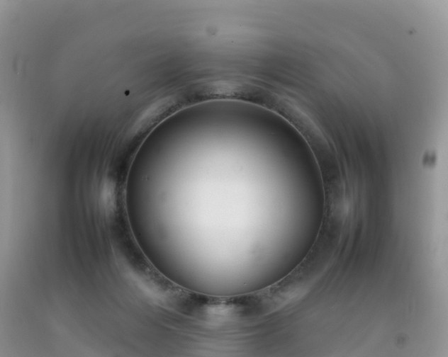 X0000092070216200709191211