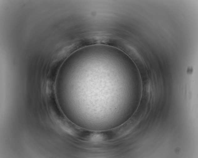 X0000092070218200709191211