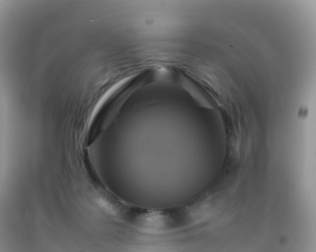X0000092070219200709191211
