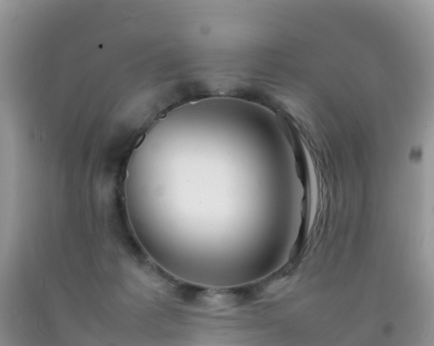 X0000092070221200709191211
