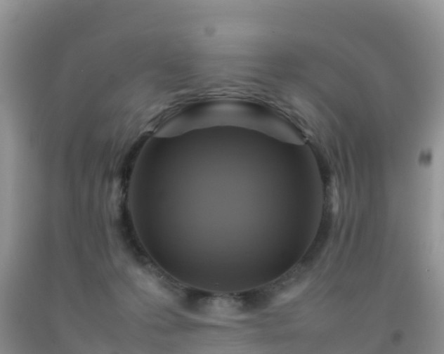 X0000092070223200709191211