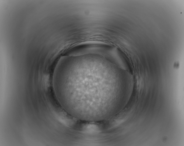 X0000092070224200709191211