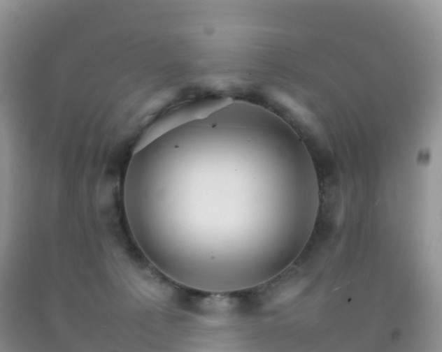 X0000092070225200709191211