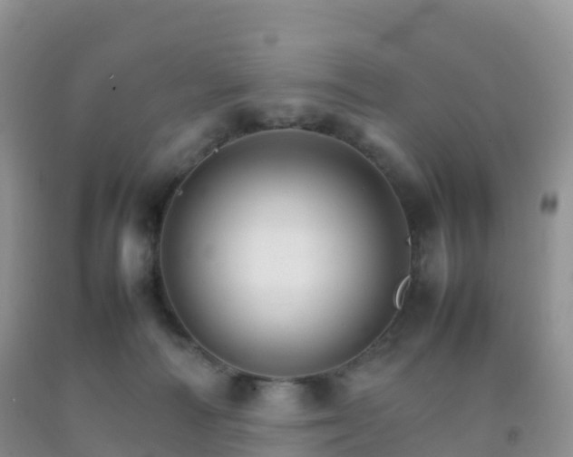 X0000092070226200709191211