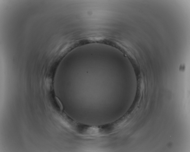 X0000092070227200709191210