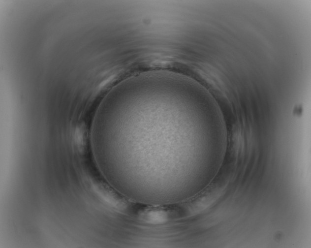 X0000092070228200709191210