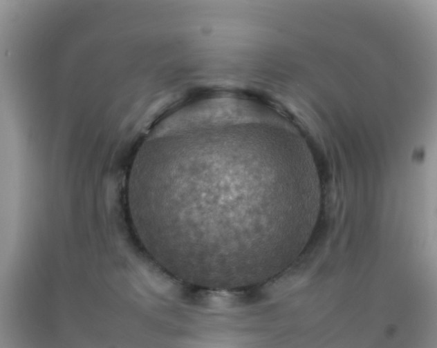 X0000092070229200709191210