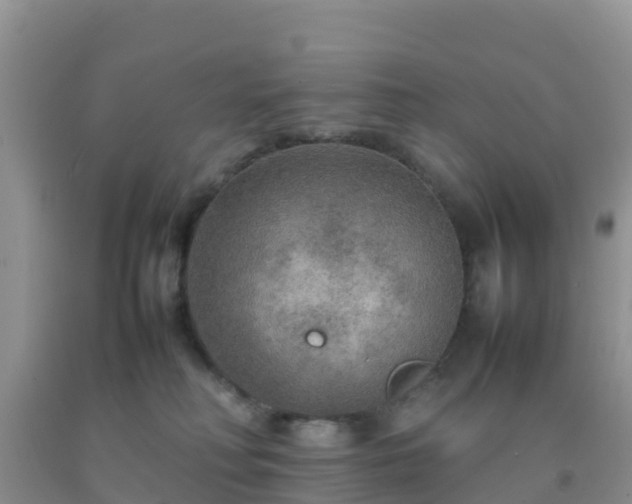 X0000092070230200709191210