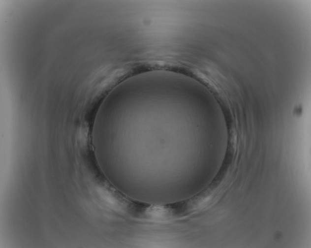 X0000092070231200709191210