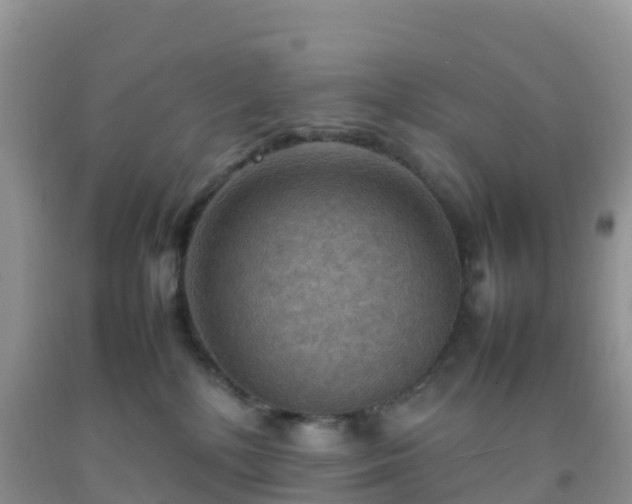 X0000092070232200709191210