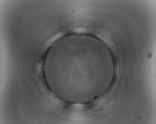 X0000092070233200709191210