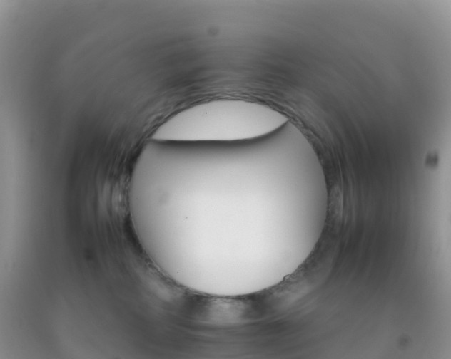 X0000092070234200709191210