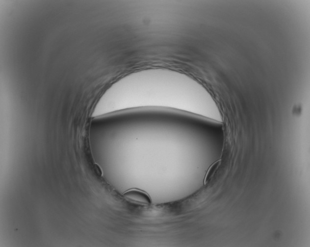 X0000092070235200709191210
