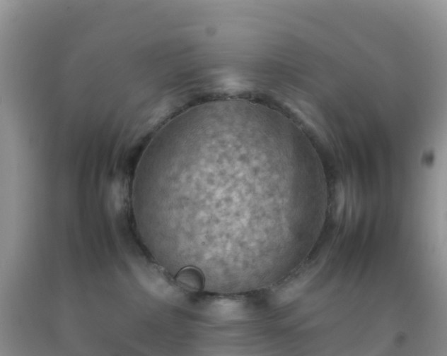 X0000092070236200709191210