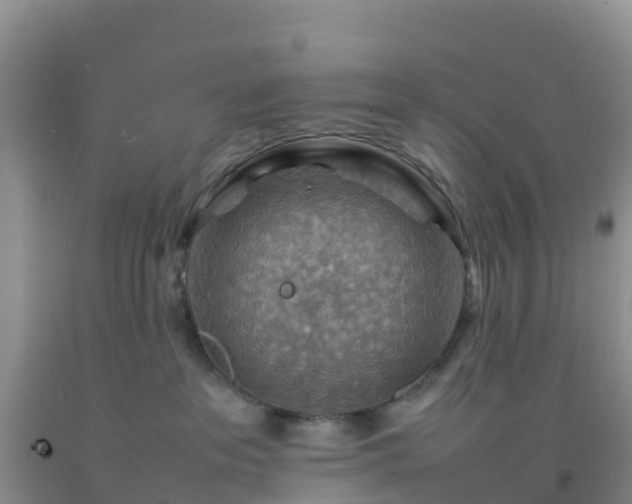 X0000092070237200709191210