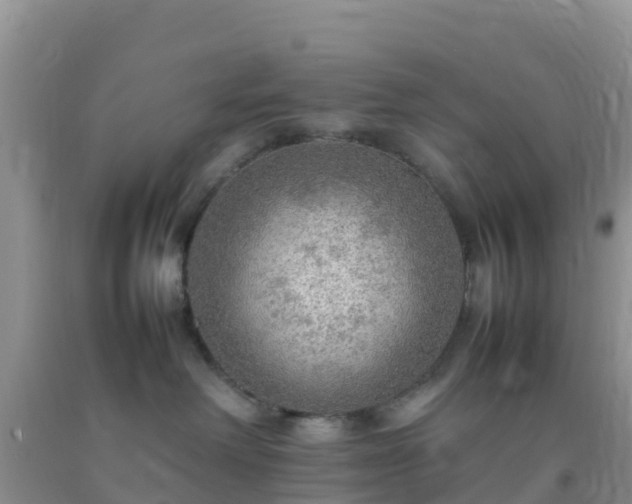 X0000092070238200709191210