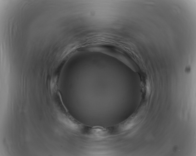 X0000092070239200709191210