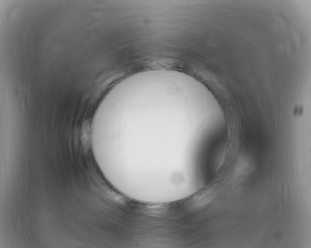 X0000092070240200709191210